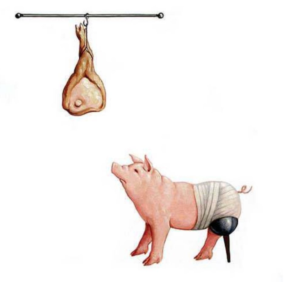 Drawing: Side view of pink pig looking up towards a rod, on which a processed pig leg is hanging with a hook in the hoove (like a ham in a butcher shop).  Instead of his left hind leg, the pig has an old-style prosthetic leg (black cup attached to body, brown stick as leg, and has white bandages around his back body, with his curly tail sticking out.