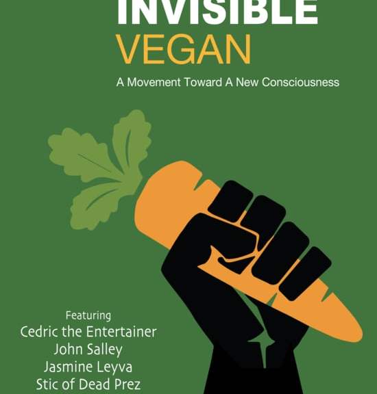 Poster with announcement of The Invisible Vegan