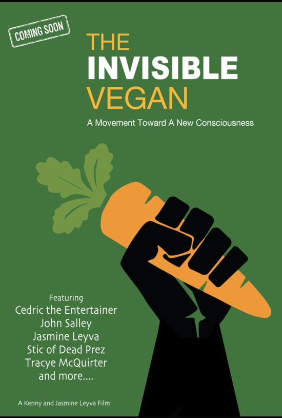 Poster with announcement of The Invisible Vegan