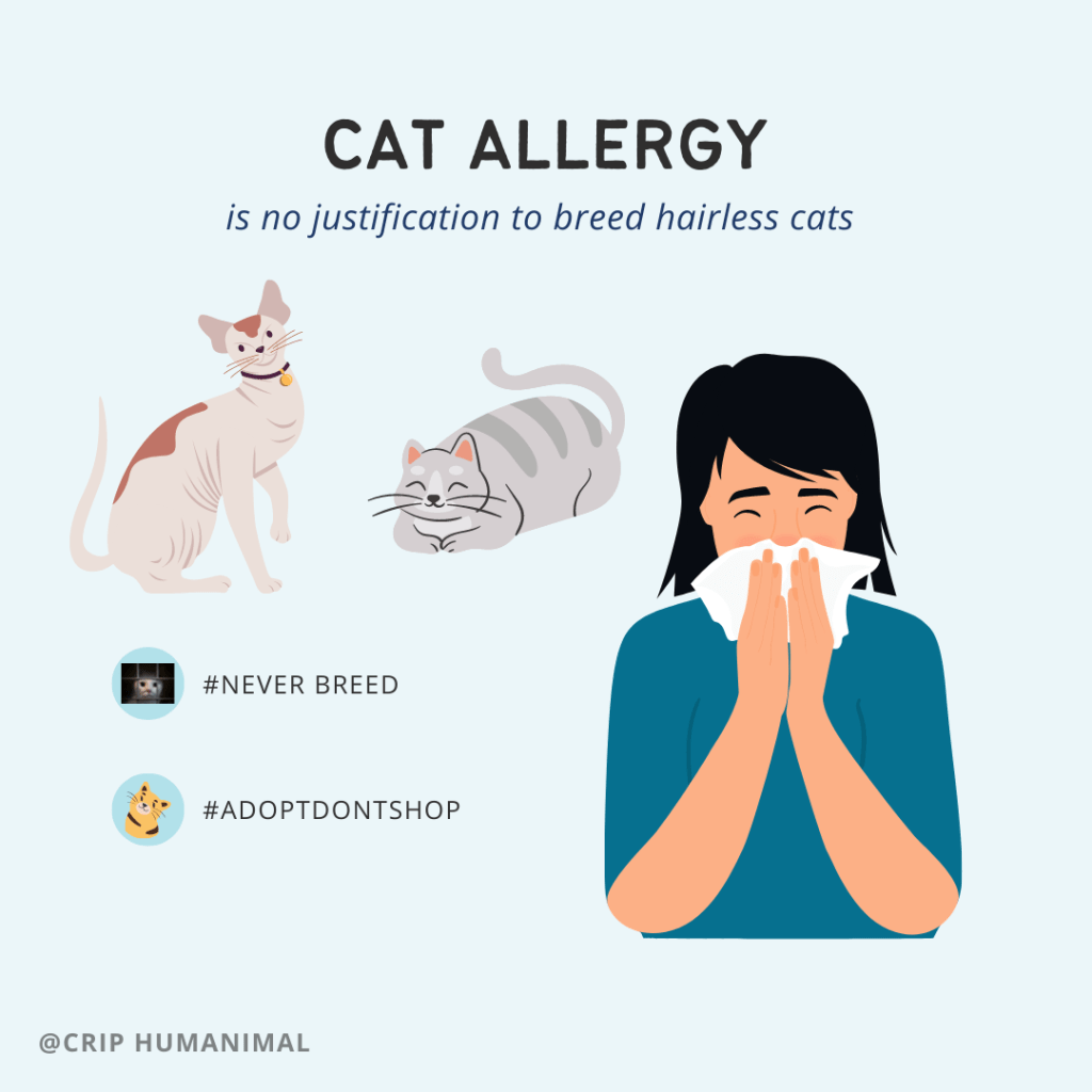 drawing of two cats, one with hair and one hairless. 
Text: 

CAT ALLERGY is no is justification to breed hairless cats 
#NEVER BREED #ADOPTDONTSHOP 
@CRIP HUMANIMAL 